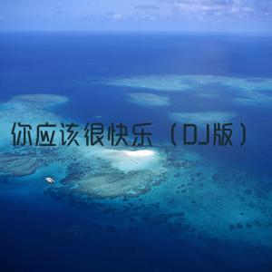收听张酷的你应该很快乐 (DJ版)歌词歌曲