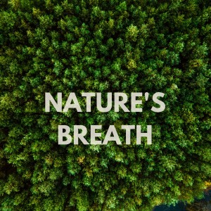 收聽Spa Station的Nature's Breath歌詞歌曲