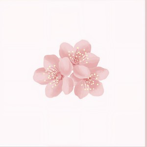 收听Chevy的Sweet Boi (Single Version)歌词歌曲