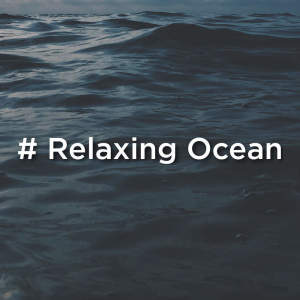 Dengarkan Waves To Fall Asleep To lagu dari Ocean Sounds dengan lirik