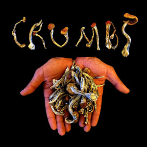อัลบัม Crumbs (Explicit) ศิลปิน Bru Lei