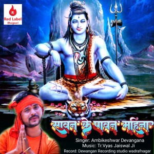 ดาวน์โหลดและฟังเพลง Sawan Ke Pawan Mahina พร้อมเนื้อเพลงจาก Ambikeshwar Dewangan