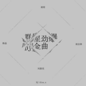 อัลบัม 群星劲爆 DJ金曲 ศิลปิน 雨宗林