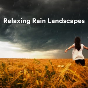 Listen to Rain Sounds for Lockdown, Pt. 3 song with lyrics from Relaxing Sounds of Nature