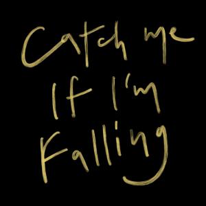 Album Catch Me If I'm Falling from System