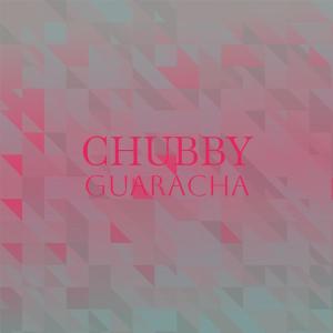 Various的专辑Chubby Guaracha