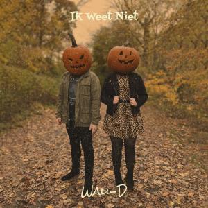 Listen to Ik Weet Niet (Explicit) song with lyrics from Wali-D