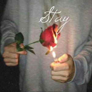 Album Stay from Don-Yen