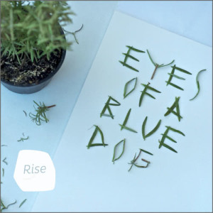 收聽Eyes of a Blue Dog的Knee歌詞歌曲