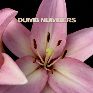 Dumb Numbers的專輯The Longest Goodbye b/w Looking Forlorn In All The Wrong Places