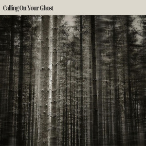 收聽Jessie Reid的Calling on Your Ghost歌詞歌曲