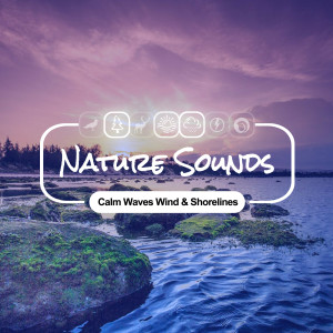 อัลบัม Calm Waves Wind & Shorelines ศิลปิน Nature Sounds