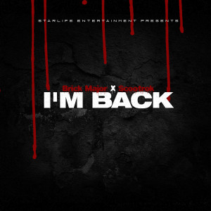 Dengarkan lagu Im Back nyanyian Brick Major dengan lirik