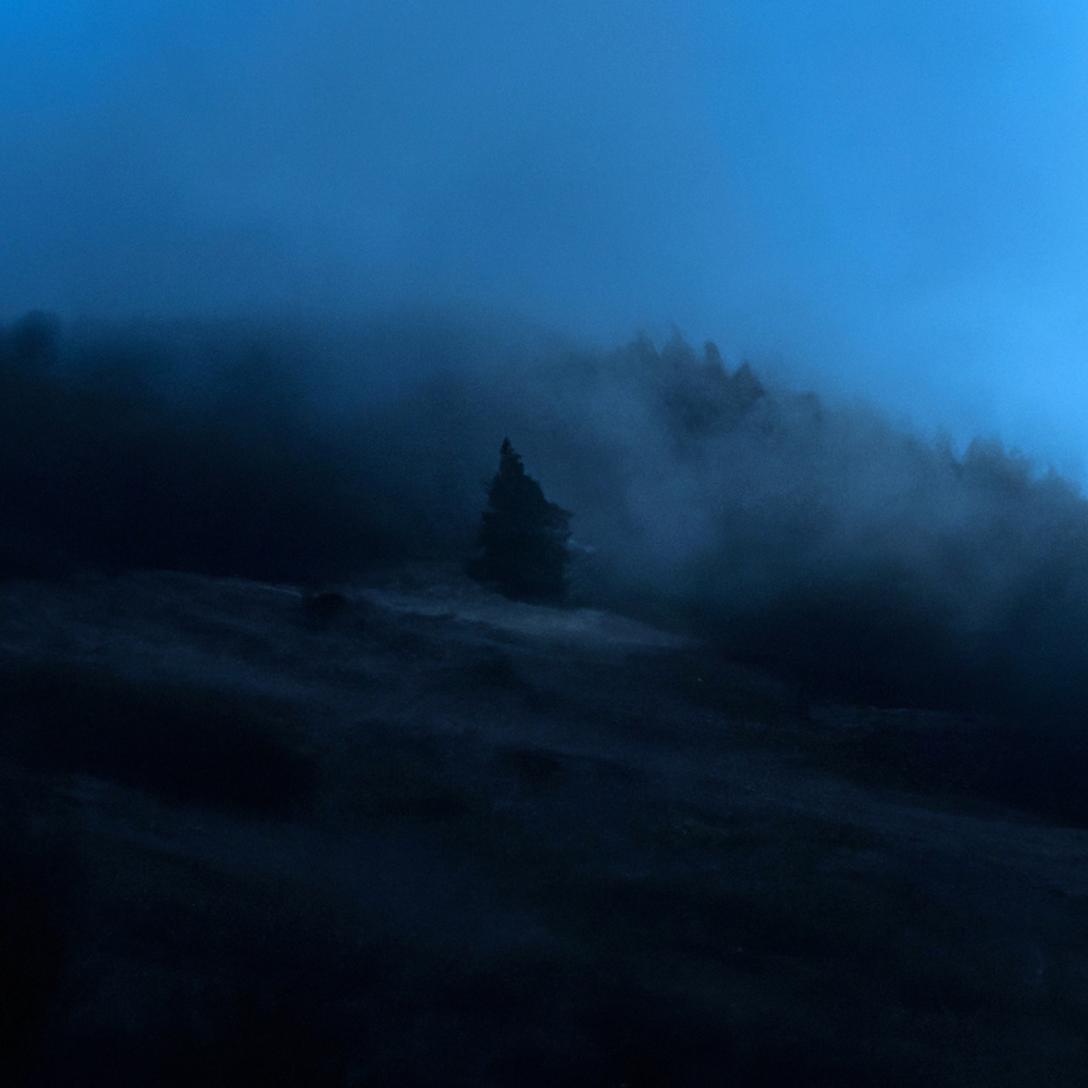 reverie