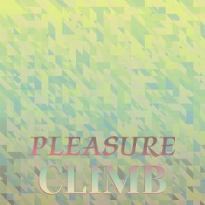 อัลบัม Pleasure Climb ศิลปิน Various