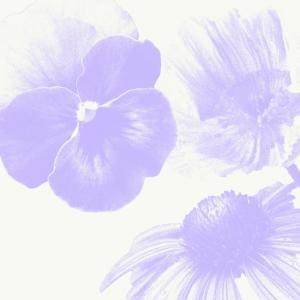 收聽The General的Don't die on me歌詞歌曲