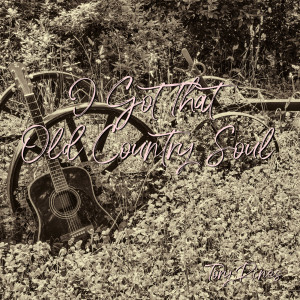 Dengarkan I Got That Old Country Soul lagu dari Tory Rines dengan lirik