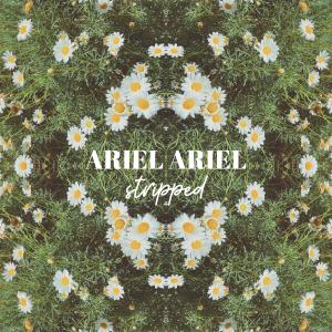 The Griswolds的專輯Ariel Ariel (Stripped) (Explicit)