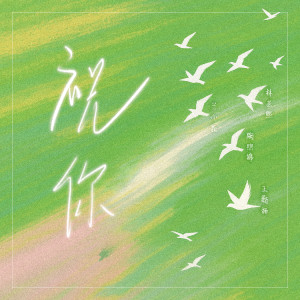 Listen to 祝你 (伴奏) song with lyrics from 王新杨