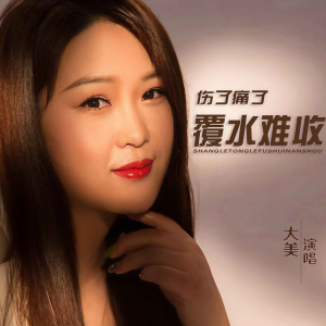收聽大美WH的傷了痛了覆水難收 (DJ默涵版)歌詞歌曲