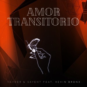 Album Amor Transitorio (feat. Kevin Bronx) from Neyder