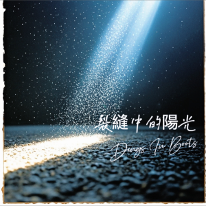 Album 裂缝中的阳光(翻唱) from 穿靴子的叮叮喵