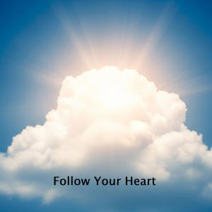 อัลบัม Follow Your Heart ศิลปิน John Blum