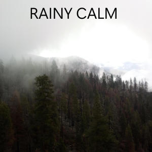 Album rainy calm oleh Exist