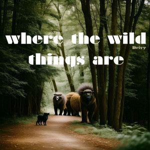 Listen to Where the Wild Things Are (Explicit) song with lyrics from Drivy