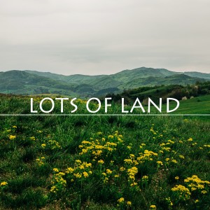 Listen to The Whell song with lyrics from Fabrizio Pendesini