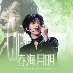 Listen to 春海月明 (伴奏) song with lyrics from SHUTIAO