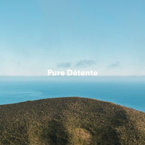 Musique Calme et Relaxation的專輯Pure détente