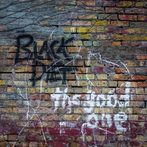 ดาวน์โหลดและฟังเพลง Last Person on Earth พร้อมเนื้อเพลงจาก Black Diet
