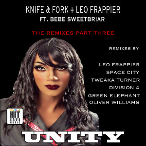 ดาวน์โหลดและฟังเพลง Unity (Leo Frappier Green Elephant Dub Mix) พร้อมเนื้อเพลงจาก Leo Frappier