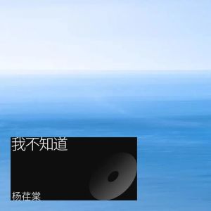 Album 我不知道 from 杨荏棠
