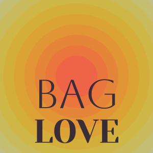 Various Artists的專輯Bag Love