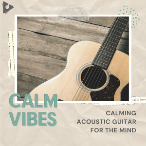 Study Music and Sounds的專輯Calming Acoustic Guitar for the Mind