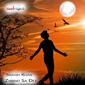 Album Zwand Sa Dey oleh Shahid Khan