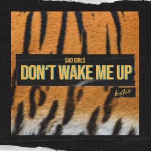 收聽sad girls的Don't Wake Me Up歌詞歌曲