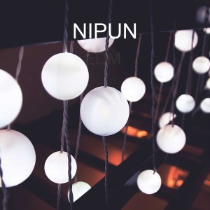 Nipun的專輯Edm