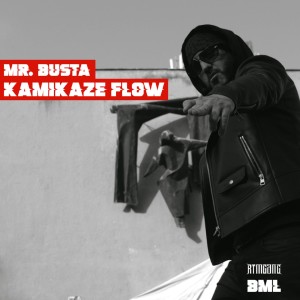 Album Kamikaze Flow (Explicit) from 