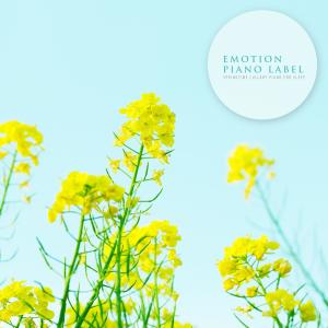 Album Springtime Lullaby Piano For Sleep from 