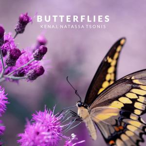 Album Butterflies from Kenaj