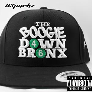 Dsparkz的專輯The Boogie Down Bronx (Explicit)