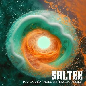 Saltee的專輯You Would / Hold Me