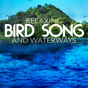 ดาวน์โหลดและฟังเพลง Sunday Afternoon พร้อมเนื้อเพลงจาก Relaxing With Sounds of Nature and Spa Music Natural White Noise Sound Therapy