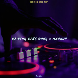 Album RING DING DONG × MASHUP (Remix) from Zay Rmx