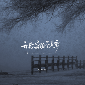 Album 我期待的不是雪 (大雪版) from 赵乃吉