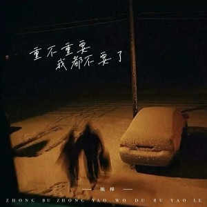 Listen to 重不重要我都不要了 song with lyrics from 桃梓