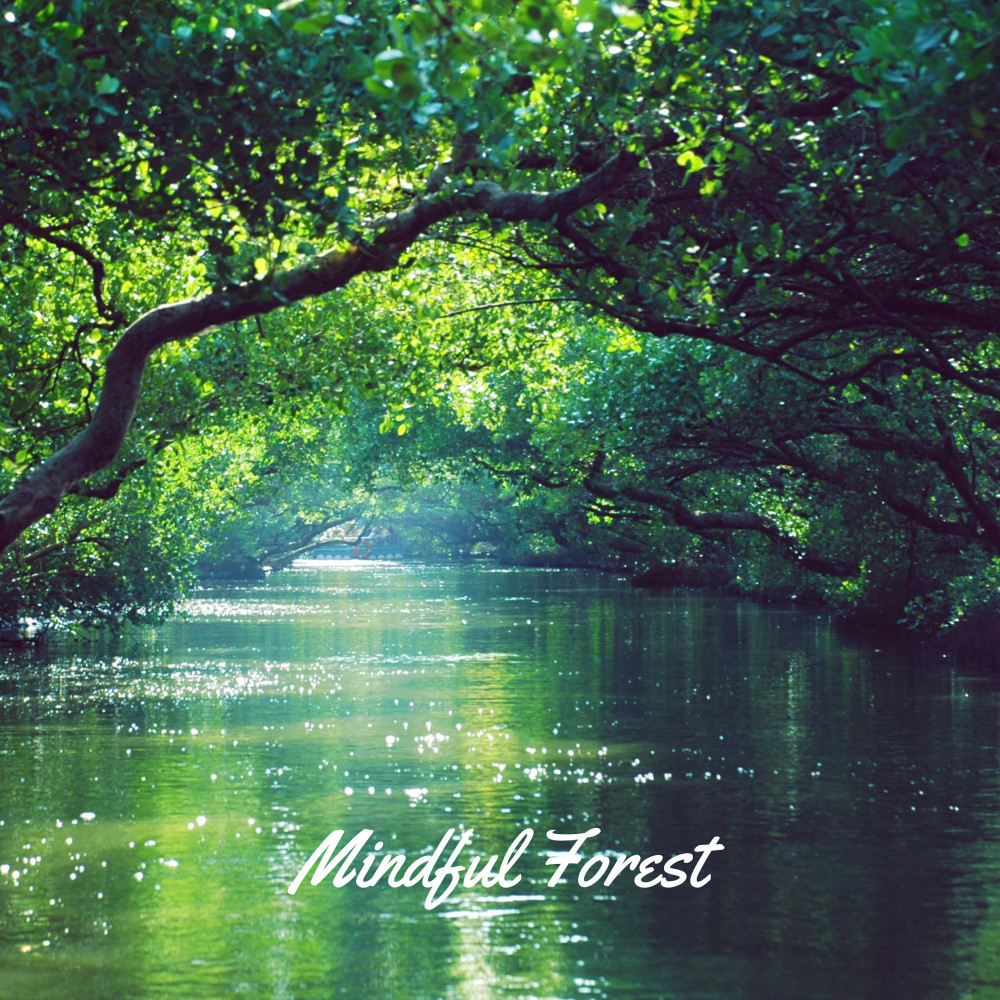 Mindful Forest